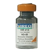 Вакцина VIR 213