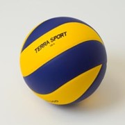 Мяч волейбольный Terrаsport-VB006