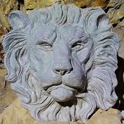 голова льва фото