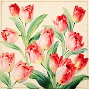 Салфетка для декупажа Цветущие тюльпаны фото