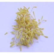 Тычинки Lucia Craft (желтые, 1 мм) махровые
