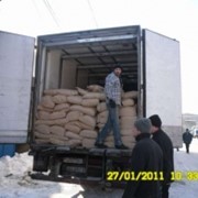 Погрузка разгрузка авто фур контейнеров вагонов Киев и обл фотография