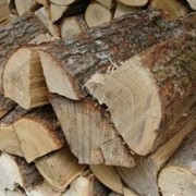 Продам дрова ( тополь ) цена, купить в Украине фото