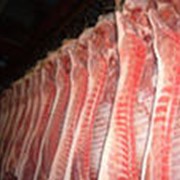 Мясо свинины на кости