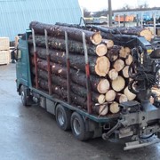 Услуги лесовоза Volvo фото
