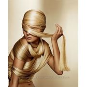 Internet magazin http://kharkovhair.umi.ru/