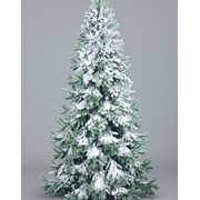 Ель Ноэль (снег), высота: 260 (см) фото