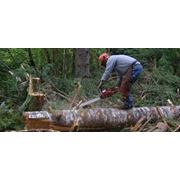 Алмазный инструмент фото