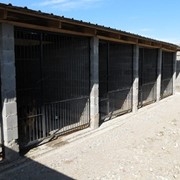 Специализированная гостиница для собак АЛМАС фото