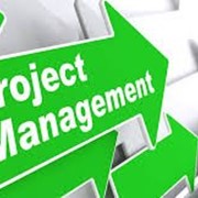 Управление Проектом (Project Management)