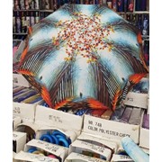Женский полуавтоматический зонт осень фото