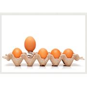 Гофролотки для яиц в Украине Житомирский картонный комбинат ООО фото