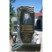 Памятники из гранита Жтомир (Образцы №272) фото