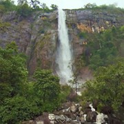 Экскурсионные туры на Шри-Ланку тур Дикая природа