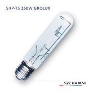 Лампа Днат SYLVANIA SHP-TS 250W GROLUX﻿ фотография