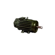 Электродвигатель ДМТН111-6 3,5 кВт 900 об/мин