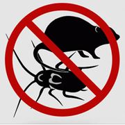 Дезинсекция. Борьба с осами комарами клещами и прочими уличными насекомыми
