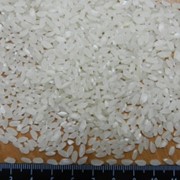 Краснодарский рис фото