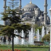 Авиатуры фото