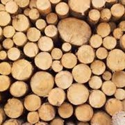Лесозаготовки и деревообработка