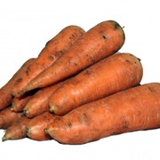 Морковь уже на складе в Москве фото