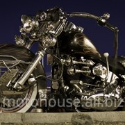 Спортивный мотоцикл Skymoto WOLF 250 фотография