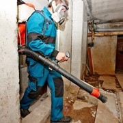 Уничтожение блох в подвале частного дома