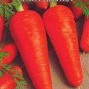 Морковь Русский Деликатес гелевое драже фото
