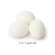 Яйцо куриное С-1 фотография