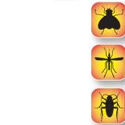 Средства от насекомых и грызунов инсектициды: дихлофосы аэрозоли средства пластины жидкости и электрофумигаторы против комаров летающих насекомых клещей мух и т.д.