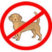 Отпугиватели собак фото