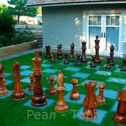 Шахматы луговые фотография
