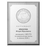 Плакетки с накладкой из пластика фото