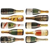 Продается оборудование в линию розлива водки, вина, шампанского производительностью 6000 бут. ч