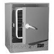 Сушильный шкаф СНО 250/350 (сталь) фото