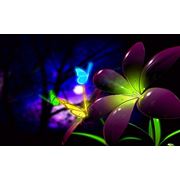 Эмаль флуоресцентная АС-554 фото