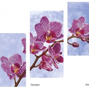 Схема-заготовка для частичной вышивки бисером Орхидея фото