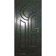 Дверь с отделкой панелью МДФ покраска “Гранит“ фото