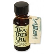 Масло чайного дерева, антисептик природного происхождения, масло чайного дерева купить фото