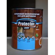 Лак акриловый красящий Protector по доступной цене в Киеве и доставкой по Украине фото