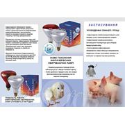 Реализация ветеринарных препаратов и оборудования для свиноводческих предприятий