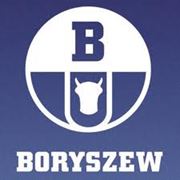 Сайдинг “Boryszew“ фото