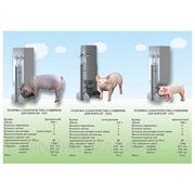 Кормушки, поилки, кормовые автоматы для свиней