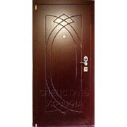 Дверь с отделкой панелью МДФ покраска фото