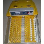 Инкубатор автоматический JANOEL на 132 перепелиных яиц. Электронный термоконтроль.