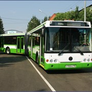 Автобусы городские ЛиАЗ-6213 фото