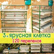 Клетка для перепелов, для содержания 115 до 150 взрослых перепелов