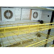 Инкубатор автоматический “Господар“ - на 1500 яиц фото