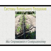 Системы Капельного полива. Продажа и Установка. Полная Комплектация. фотография