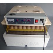 Инкубатор автоматический JANOEL на 96 куриных яиц. Электронный термоконтроль. фото